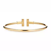 borrow tiffany gold and diamond bracelet for women