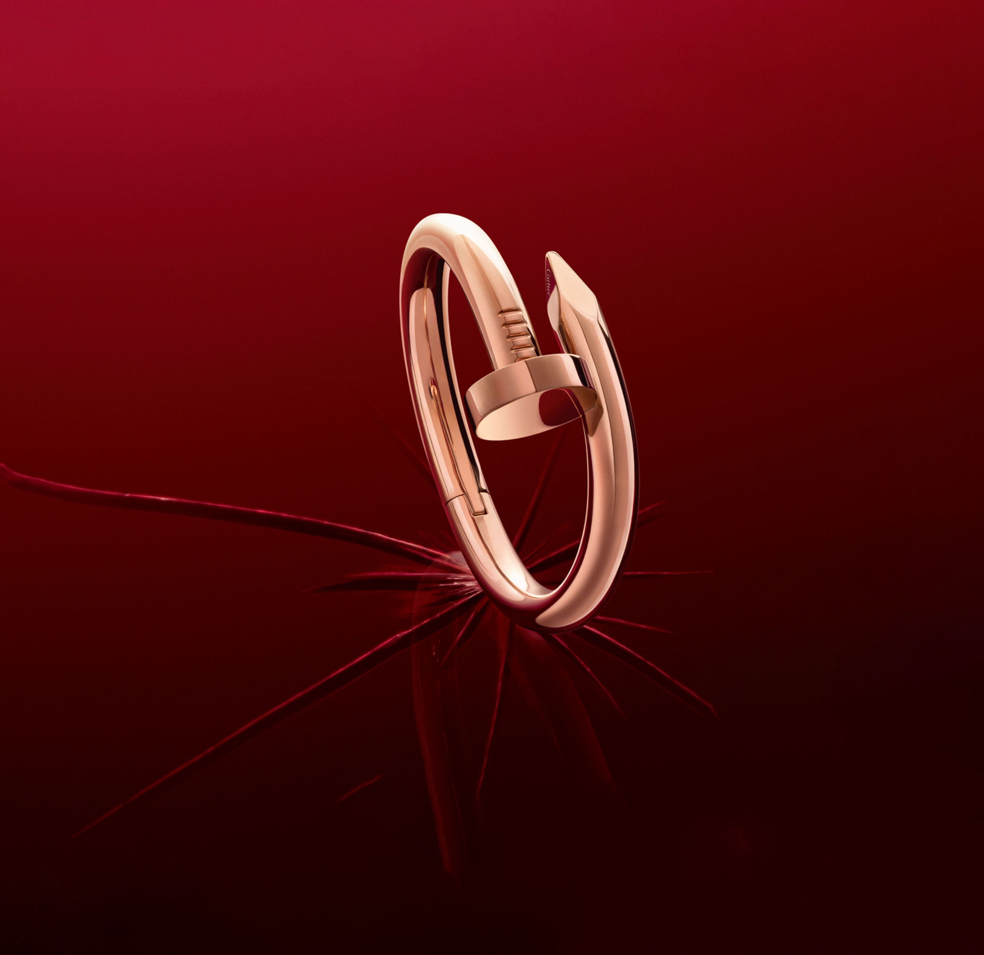 Cartier Juste un Clou Ring (Nail Ring)